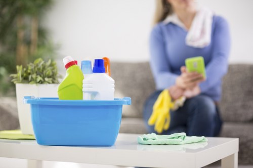 Cleaner dusting and wiping surfaces during a scheduled visit