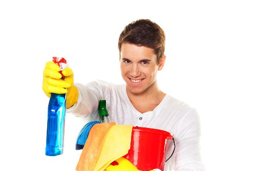 Cleaning treatment for a mattress or soft furnishing affected by pet odour